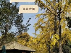 -成飞公园