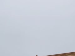-明故宫遗址公园