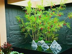 -宫七SPA·高端Massage(浦东大道店)