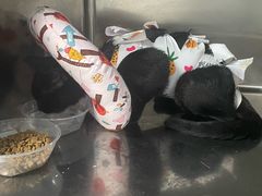 -半岛宠物医院24小时(科华中路店)