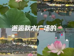 -秋水广场音乐喷泉