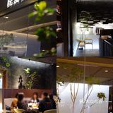 女神节用餐首选｜来皖厨徽时品尝春季限定🌿