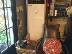 -花到家(富贵鸟花艺行)