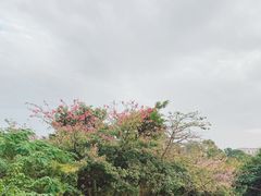 -五通灯塔公园