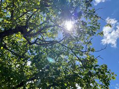 -北京大学(昌平校区)