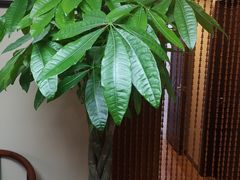 -常仁健康·经络推拿·按摩艾灸养生馆(长宁路店)