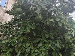 -丝绸小镇荻港古村