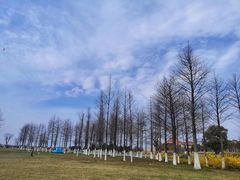 -滆湖低碳生态公园
