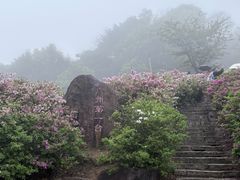 -广州市石门国家森林公园