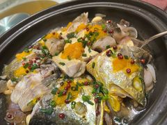 泉水麻麻鮰鱼-潇湘甲鱼村(清河店)