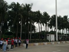 -万绿园