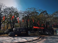 -火炉山森林公园