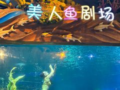-太奥幻太奇海洋馆