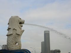 android_upload_pic-鱼尾狮公园
