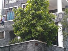 -黄埔古港