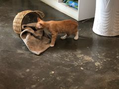 -时光转角咖啡馆(西康路店)