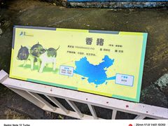 -深圳野生动物园