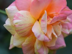 -共青国家森林公园-售票处