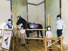 -上海崇明金茂凯悦酒店