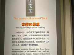 -中国茶叶博物馆(双峰馆区)