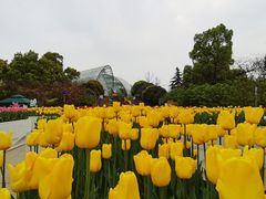 -南山植物园
