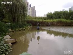 -苏州河梦清园环保主题公园