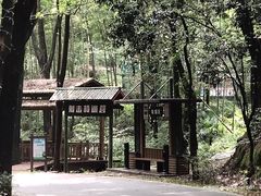 -石燕湖生态旅游景区