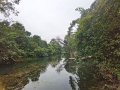-花溪公园