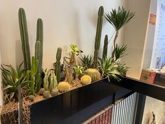 -J Create城市露营咖啡·简餐·宠物(上海动物园店)