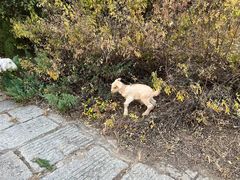 -天津盘山风景名胜区