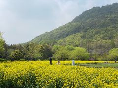 -八卦田遗址公园