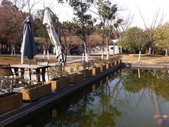 -宝界普菲特湖畔酒店