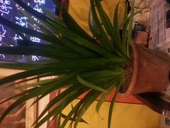 android_upload_pic-乡间好味私家菜(总店)