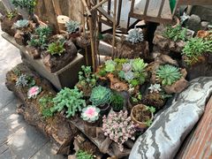 -四方小吃·白族庭院餐厅