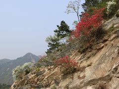 -木兰云雾山
