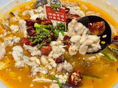 -绿野仙踪·印象(香樟名都店)