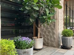 -wineapp葡萄酒餐吧(外滩金融中心店)