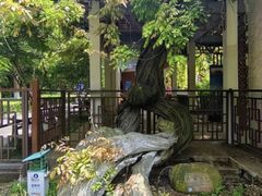-郑和公园