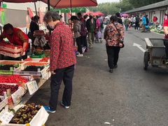 -北京清河镇农副产品交易市场中心