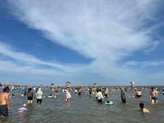 -碧海金沙
