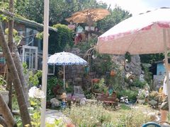 -荒度咖啡(北九水店)