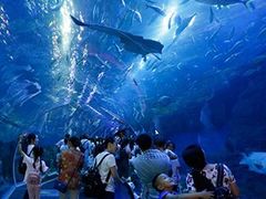 -成都浩海立方海洋公园