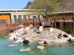 -大连老虎滩海洋公园