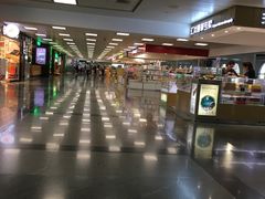 -厦门高崎国际机场-T3航站楼