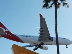 -In-N-Out Burger(LAX)
