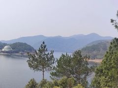-九龙湖公园