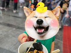 -黑色经典臭豆腐·湖南特产(坡子街店)