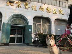-北京赛佳动物医院