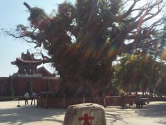 -大槐树寻根祭祖园