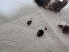 -麦香人家(世贸金街臻选店)